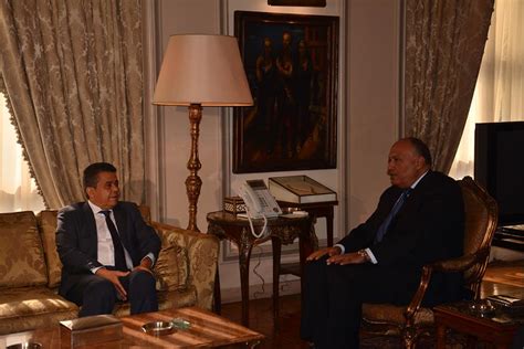 Egypt Reiterates Support For Libyas Legitimate Institutions Amid