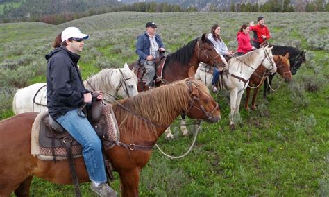 Big Sky Horseback Riding Horse Trail Rides Alltrips