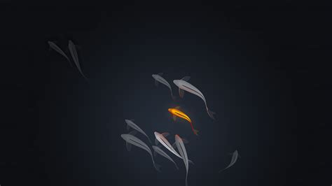 Koi Fishes Minimal 4k Wallpaperhd Artist Wallpapers4k Wallpapers