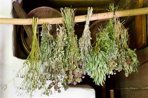 How To Dry Fresh Garden Herbs Gardeners Path