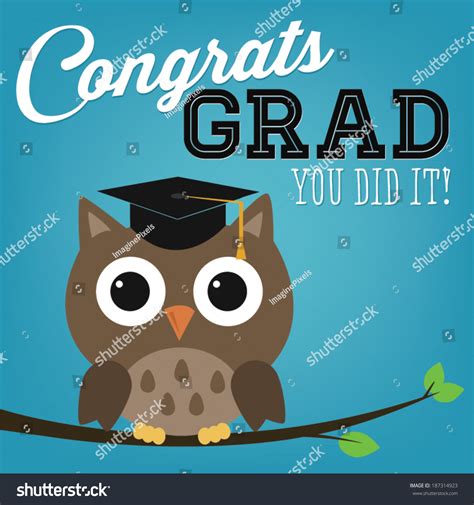 Congrats Grad You Did It Graduation Owl Stock Vector Illustration