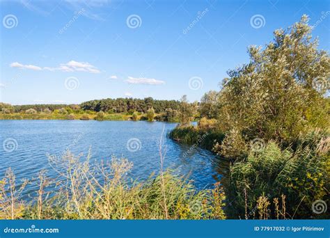 Landscape River Kharkiv Stock Photo Image Of Bushes 77917032