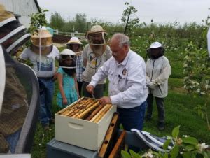 Backyard beekeeping faces some challenges. Western Maryland Apiaries - Frederick Backyard Beekeepers ...