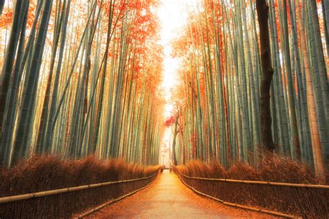15 Most Beautiful Autumn Pictures To Inspire You This Fall Displate Blog