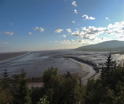 Why You Should Visit The Bay Of Fundy Insight Vacations