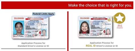 How To Get An Il Drivers License And 🚘 How To Transfer A License To