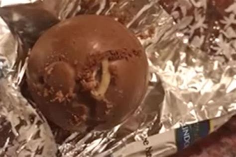 Woman Discovers Live Maggot Inside Lindt Lindor Chocolate In