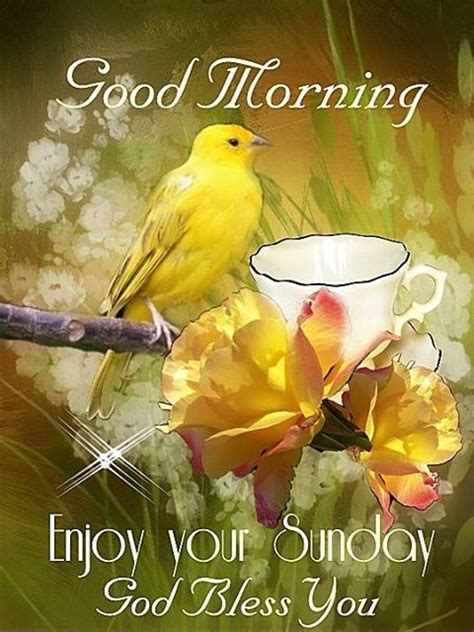 Good Morning Enjoy Your Sunday God Bless You Sunday Morning Wishes
