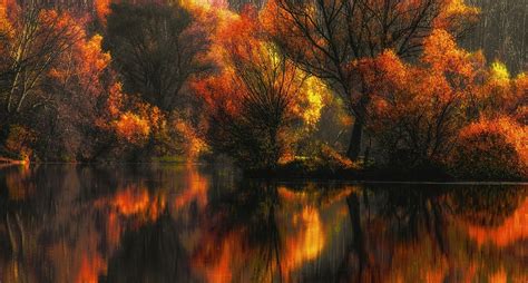 1600x858 Nature Landscape Fall Colorful Lake Water Reflection Forest