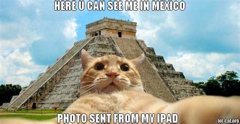 Lolcat Travel In Mexico Funny Photo Ipad Funny Tavel Pictures