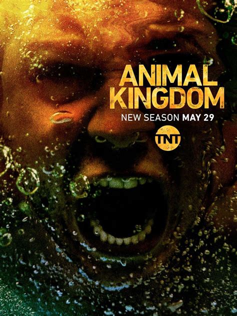 Animal Kingdom Saison 5 - AlloCiné