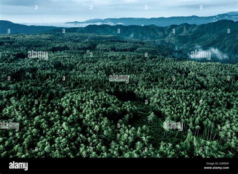 Aerial Image Of Forested Mountains In Japan Stock Photo Alamy