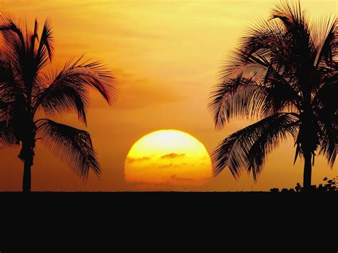 Sunset Hawaii Beach Wallpapers Wallpapersafari