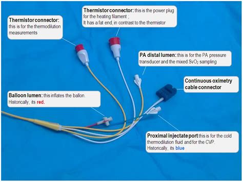 Anatomy Of The Pulmonary Artery Catheter Deranged Physiology