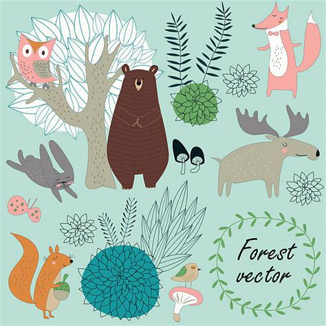 Whimsical Forest Background Stock Photos Pictures And Royalty Free