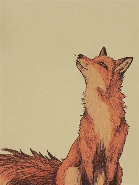 Pin By Charnelle On Art 1 Fox Art Fox Illustration Animal Art