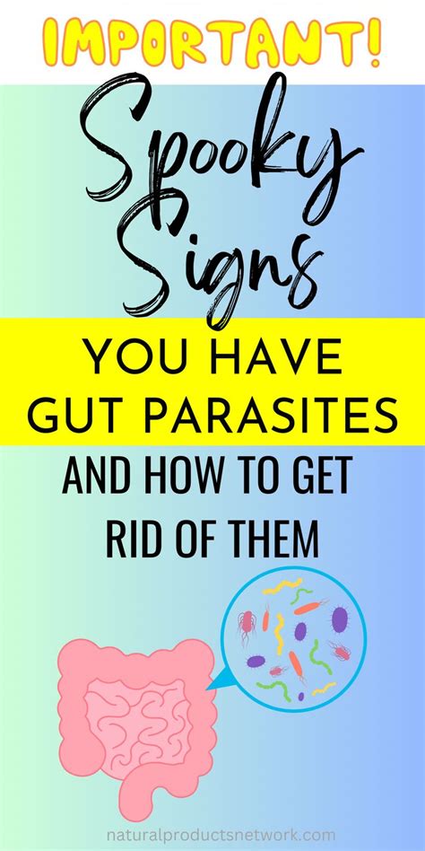 3 Important Parasite Symptoms You Shouldn T Ignore In 2023 Parasites Symptoms Parasite