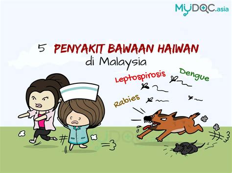 Merek motor lokal malaysia, modenas (motosikal dan enjin nasional sdn. Info grafik Bagaimana Mencegah 5 Penyakit Bawaan Haiwan ...