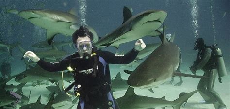 Shark Adventure Dive Scuba Dive Bahamas