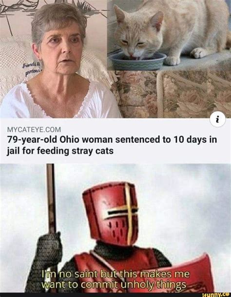 79 year old ohio woman sentenced to 10 days in jail for feeding stray cats