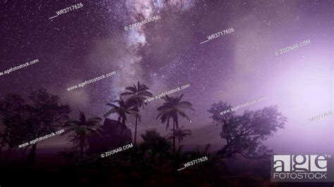 4k Astro Of Milky Way Galaxy Over Tropical Rainforest Elements Of This
