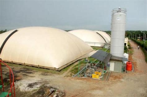 Wow Limbah Kelapa Sawit Jadi Energi Terbarukan Biogas Aktual Com