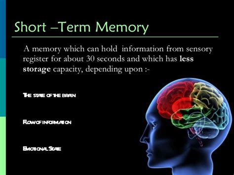 Human Memory Psychology