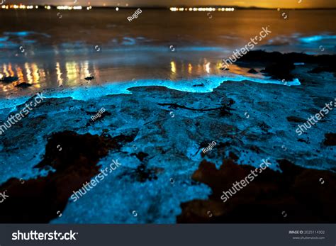 Bioluminescent Algae Images Stock Photos Vectors Shutterstock