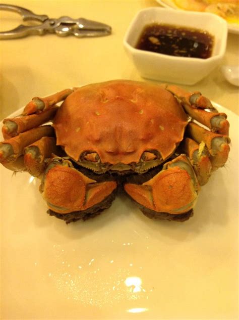 Chinese Mitten Crab Crab Bao Shanghai