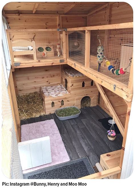 The Rabbit Home That Has The Wow Factor Best 4 Bunny 1000 In 2020