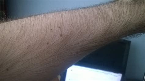 Should I Shave My Arms The Student Room