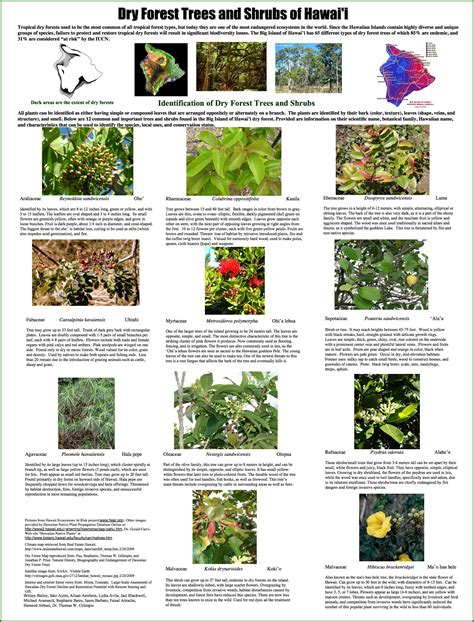 Tropical Dry Forests Of The Pacific Hawaii Species Poster