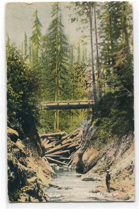 Pin On Old Logging Pics