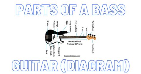 What Are The Parts Of A Bass Guitar 16 Part Diagram And Anatomy