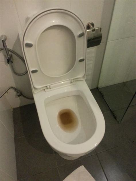 Why Is The Water In My Toilet Brown Causes And Solutions