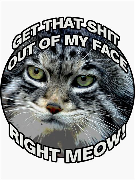 Right Meow Sticker By Creepyjoe Redbubble