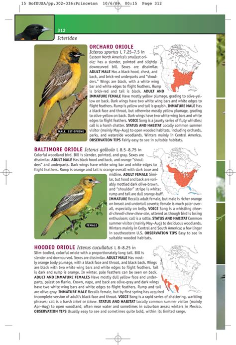 Review Of Birds Of Eastern North America And Birds Of Western North America