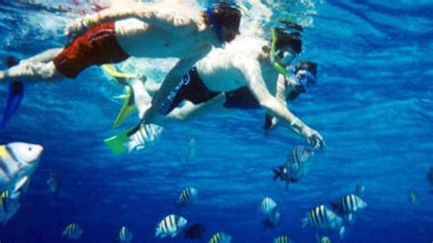 5 Best Snorkelling Spots In The Caribbean Princess Cruises