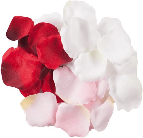 White Rose Petals Png Artificial Flower Clip Art Library