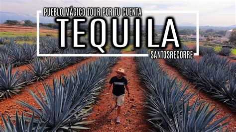 Tequila Pueblo MÁgico De Jalisco Recorrido Por Tu Cuenta Desde