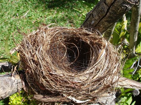 Level 1, 524 milton rd, toowong (qld), 4066, australia. You Are Not Alone: Empty Nest Syndrome Is Common. Here's ...