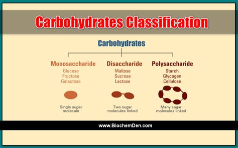 Carbohydrates Classification The Basic Classification For Quick Review