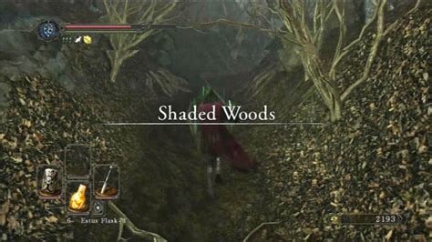 Shaded Woods Walkthrough Dark Souls Ii Game Guide And Walkthrough