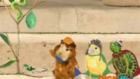 The Wonder Pets Season 1 Episode 7