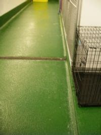 To maintain a clean, safe, and fun environment for all pets. Therian - Lucky's Pet Resort (Greensboro - North Carolina ...