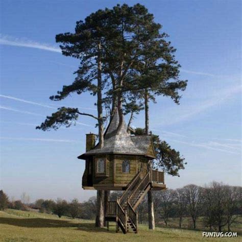 Amazing Tree Houses Around The World Continental Online