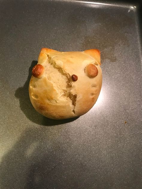 Cursed Soul Cat I Just Made New To Baking Bread Tastes Delicious