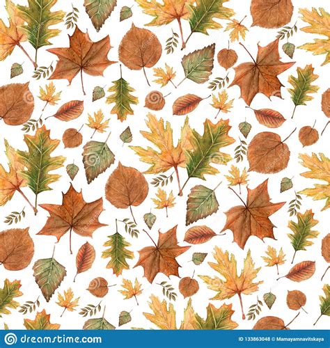 Seamless Pattern Of Autumn Fall Leavesnatural Branches