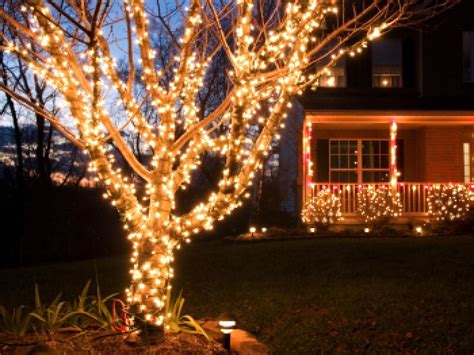 Use a floodlight for a large, open area. 15 Best Ideas Hanging Lights in Outdoor Trees