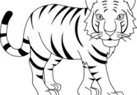 Download High Quality Tiger Clipart Outline Transparent Png Images